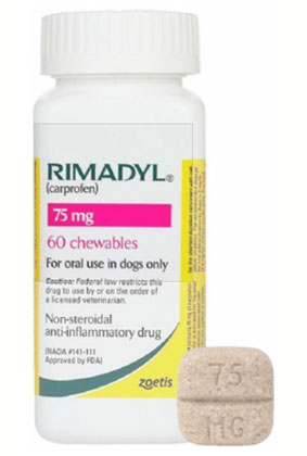 Veterinary Pain Relief and Anti-Inflammatory Support for Dogs