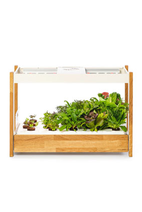 Click and Grow 25 Indoor Garden