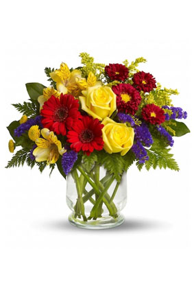 Darling Garden – A Blooming Expression of Charm