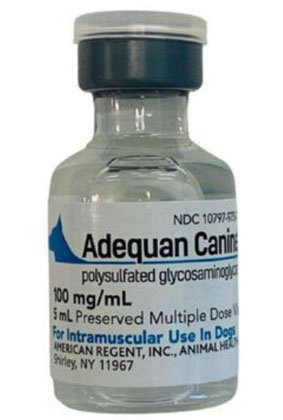 Veterinary Joint Treatment to Support Mobility and Cartilage Health