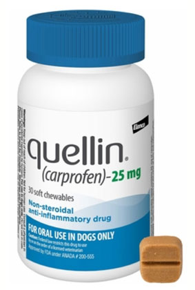 Veterinary Anti-Inflammatory Pain Relief for Dogs