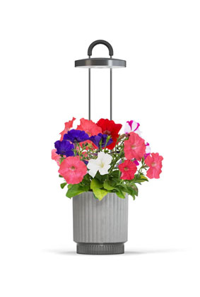 HydroVase by Ermonix HydroVase by Ermonix