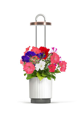 HydroVase by Ermonix