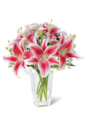 Rising Star – A Celebration of Bright Beginnings