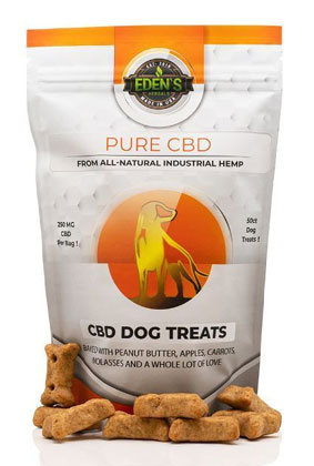 Premium CBD-Infused Dog Treats – 250 MG for Pet Wellness Support Premium CBD-Infused Dog Treats – 250 MG for Pet Wellness Support
