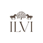 Ilvi