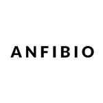 Anfibio