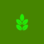 iHerb
